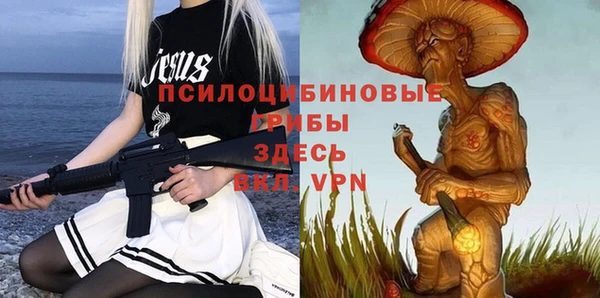 2c-b Алексин