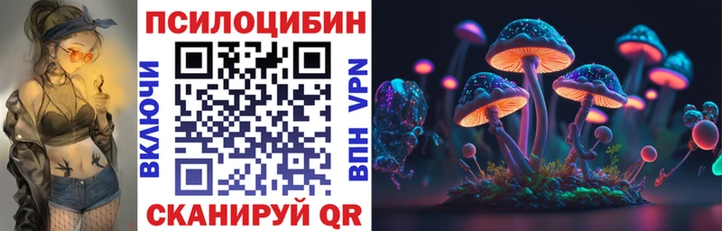 кракен зеркало  Кулебаки  Псилоцибиновые грибы Psilocybine cubensis 